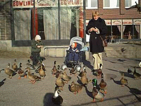 Jag, Ebba och William matar g�ss och �nder, under en promenad l�ngst Nyk�pings�n.